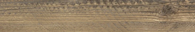 2026_07_18_849311